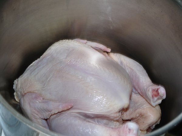 Add chicken to large pot and cover with water